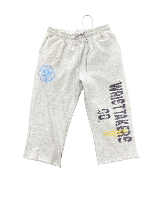 WT University Sweats